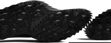 Кецове и обувки Nike Pegasus Trail 3 GTX W Черно | dc8794-001, 1