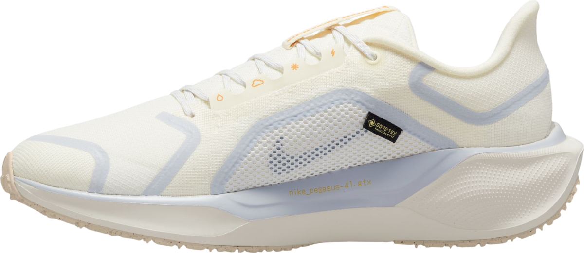 Кецове и обувки Nike Pegasus 41 GORE-TEX Бежово | fq1356-102, 1