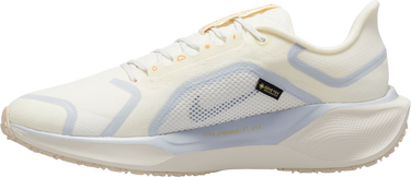 Кецове и обувки Nike Pegasus 41 GORE-TEX Бежово | fq1356-102, 1