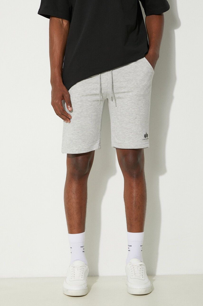 Къси панталони Alpha Industries Basic Shorts Сиво | 116363.17, 0