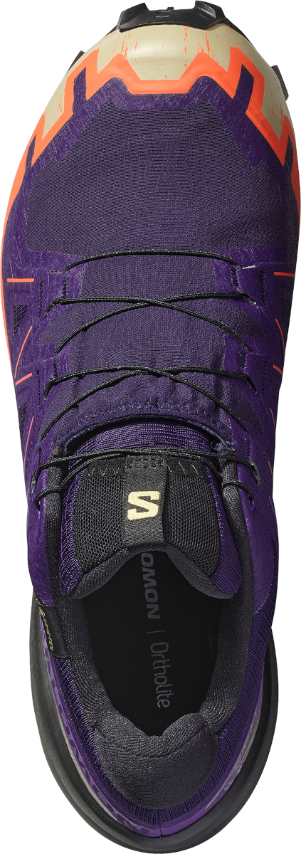 Кецове и обувки Salomon Salomon SPEEDCROSS 6 GTX Лилаво | l47980700, 1