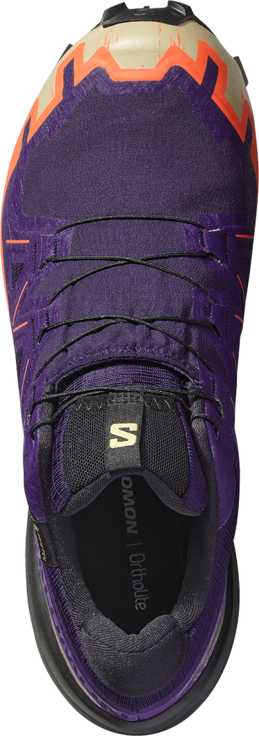 Кецове и обувки Salomon Salomon SPEEDCROSS 6 GTX Лилаво | l47980700, 1