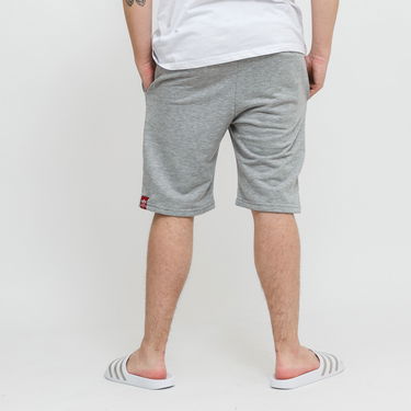 Къси панталони Alpha Industries Big Letters Shorts Сиво | 126344-17, 2