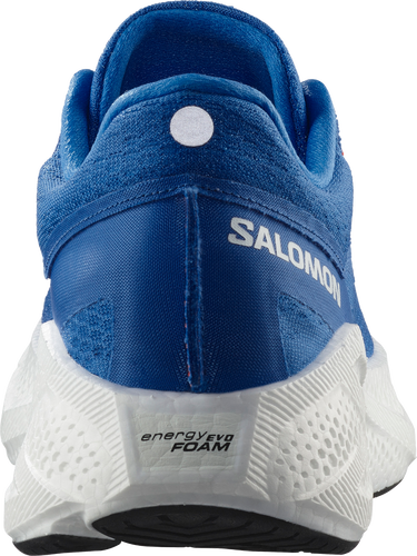 Кецове и обувки Salomon Salomon Aero Glide 3 Синьо | l47810500, 1