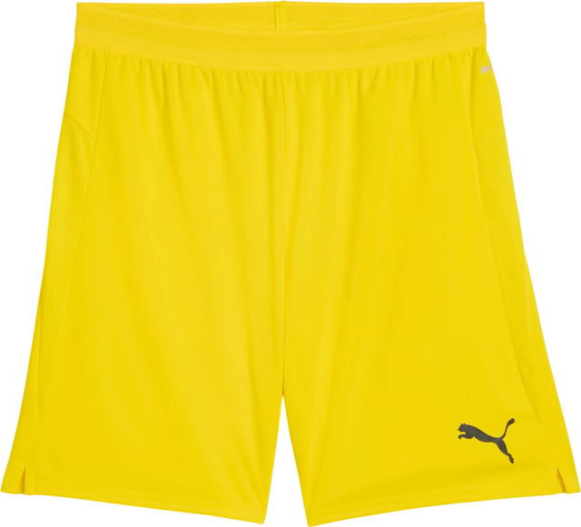 Puma teamCup Shorts