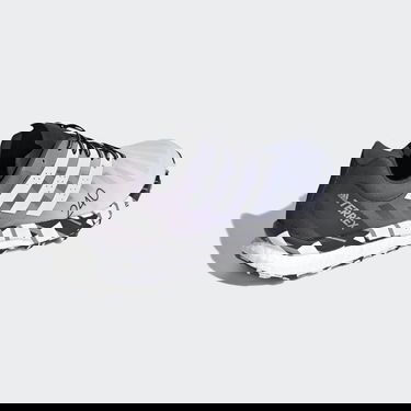 Кецове и обувки adidas Performance Terrex Speed Ultra Лилаво | FW2805, 1