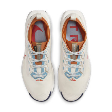 Кецове и обувки Nike Pegasus Trail 5 GORE-TEX Сиво | FQ0908-003, 1