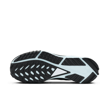 Кецове и обувки Nike Pegasus Trail 4 GORE-TEX Сиво | DJ7929-005, 4