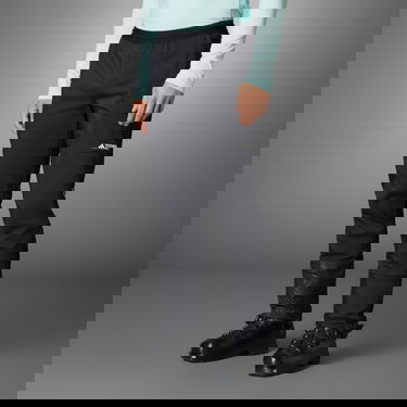 Панталони adidas Performance Terrex Xperior Fast Черно | IB1172, 1