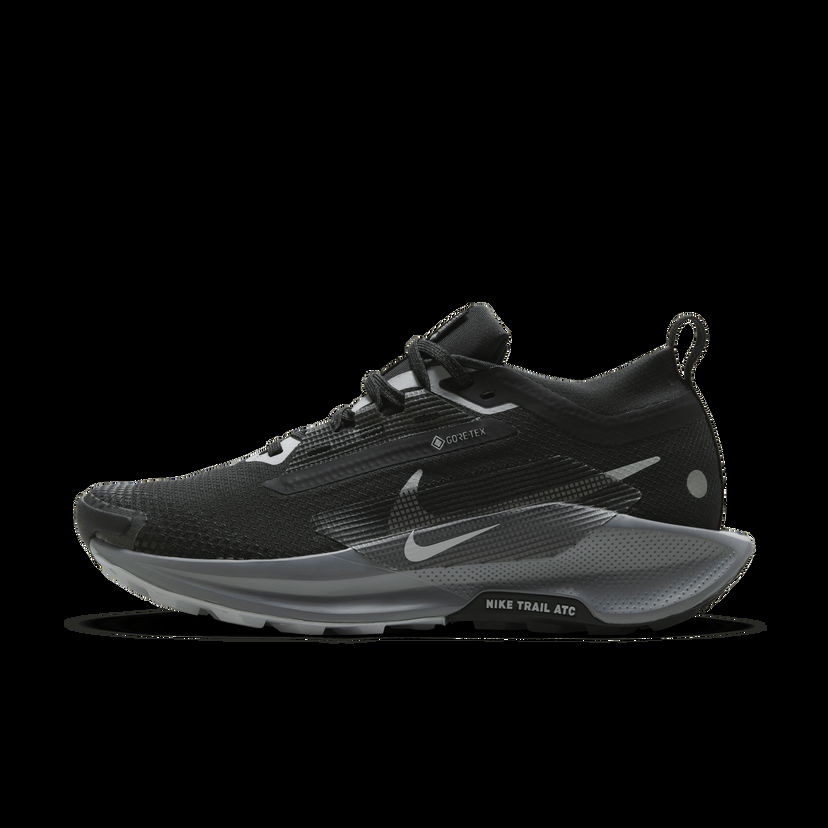 Кецове и обувки Nike Pegasus Trail 5 GORE-TEX Черно | FQ0912-001