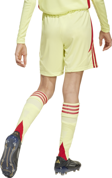 Къси панталони adidas Originals adidas TIRO24 Training Shorts Жълто | jc6206, 2