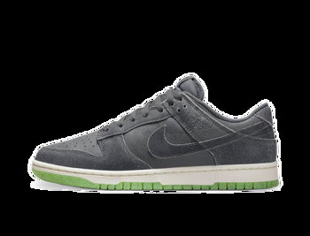 Nike Dunk Low "Iron Grey" DQ7681-001