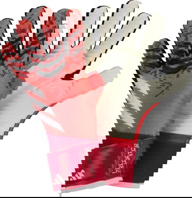 Ръкавици adidas Performance Predator Pro Kids Goalkeeper Gloves Червено | JH3813, 1