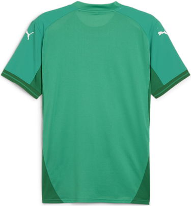 Фланелка Puma teamFINAL Jersey Зелено | 705737-05, 1
