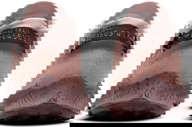 Кецове и обувки Nike Pegasus Trail 2 GTX W Розово | cu2018-200, 4