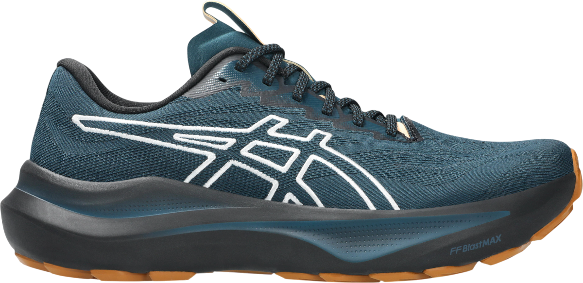 Кецове и обувки Asics GT-2000 14 TR Синьо | 1011c129-300, 0