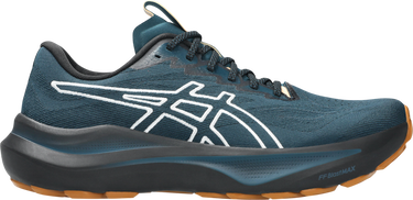 Кецове и обувки Asics GT-2000 14 TR Синьо | 1011c129-300, 0