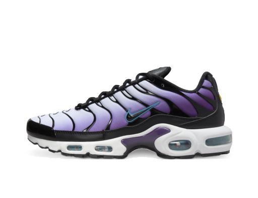 Кецове и обувки Nike Air Max Plus "Reverse Grape" Лилаво | FQ2415-500