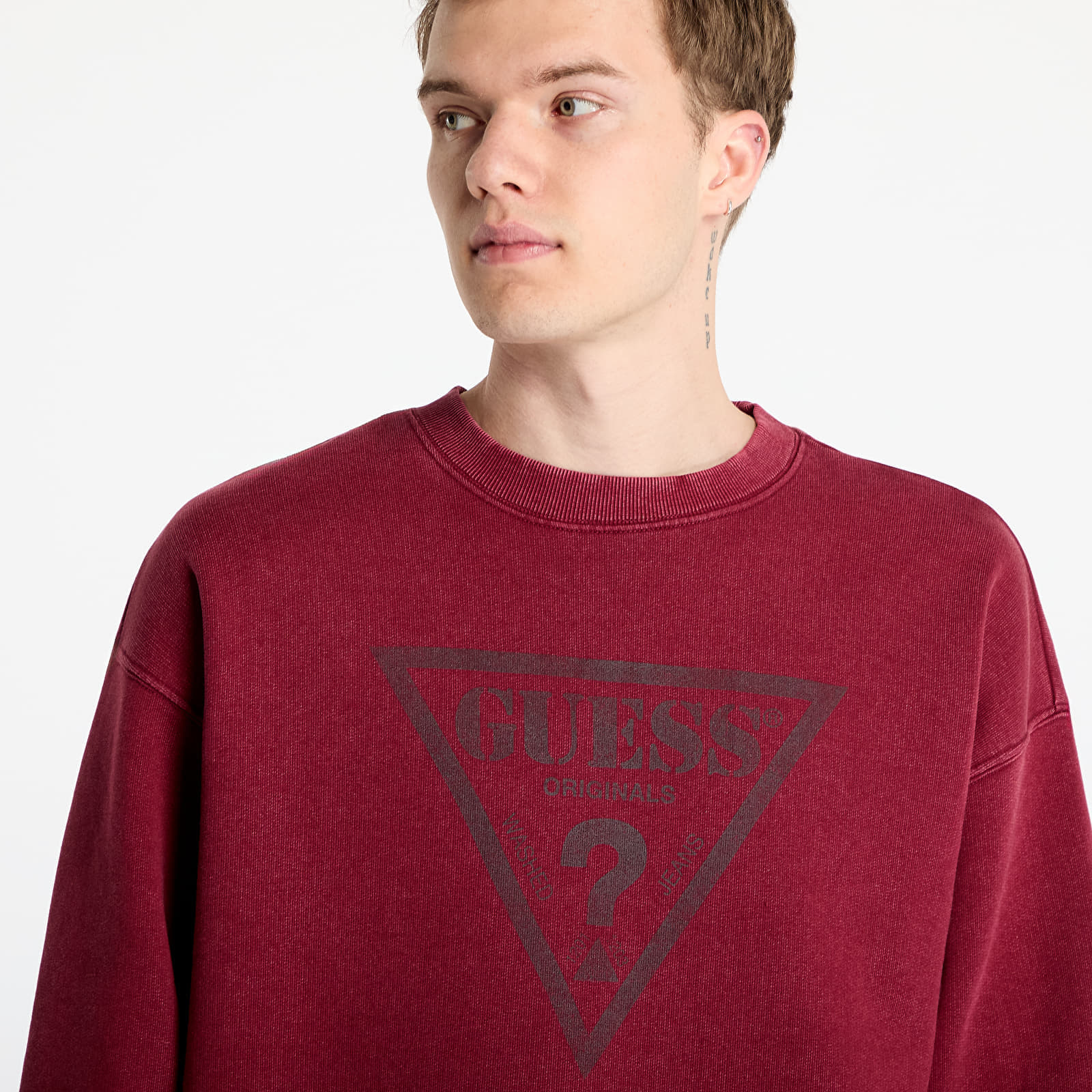 Triangle Logo Sweatshirt, 1