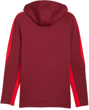 Яке Puma Red Bull Salzburg Evostripe Hooded Jacket Бургунди | 781767-10, 1