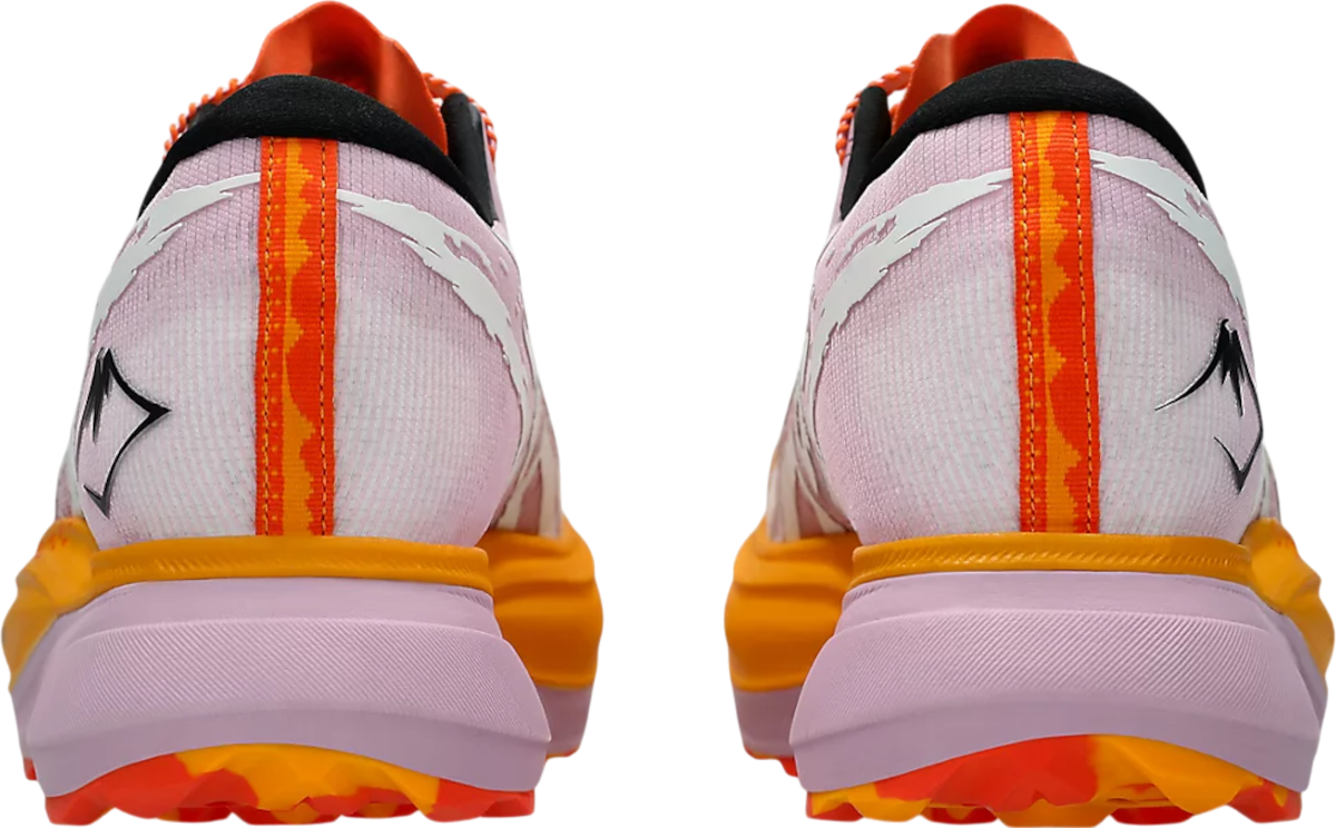 Кецове и обувки Asics METAFUJI TRAIL Многоцветен | 1013a141-700, 1