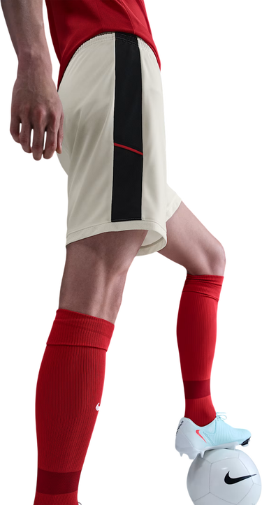 Къси панталони Nike Dri-FIT Academy 25 Shorts Бежово | hj3796-133, 1
