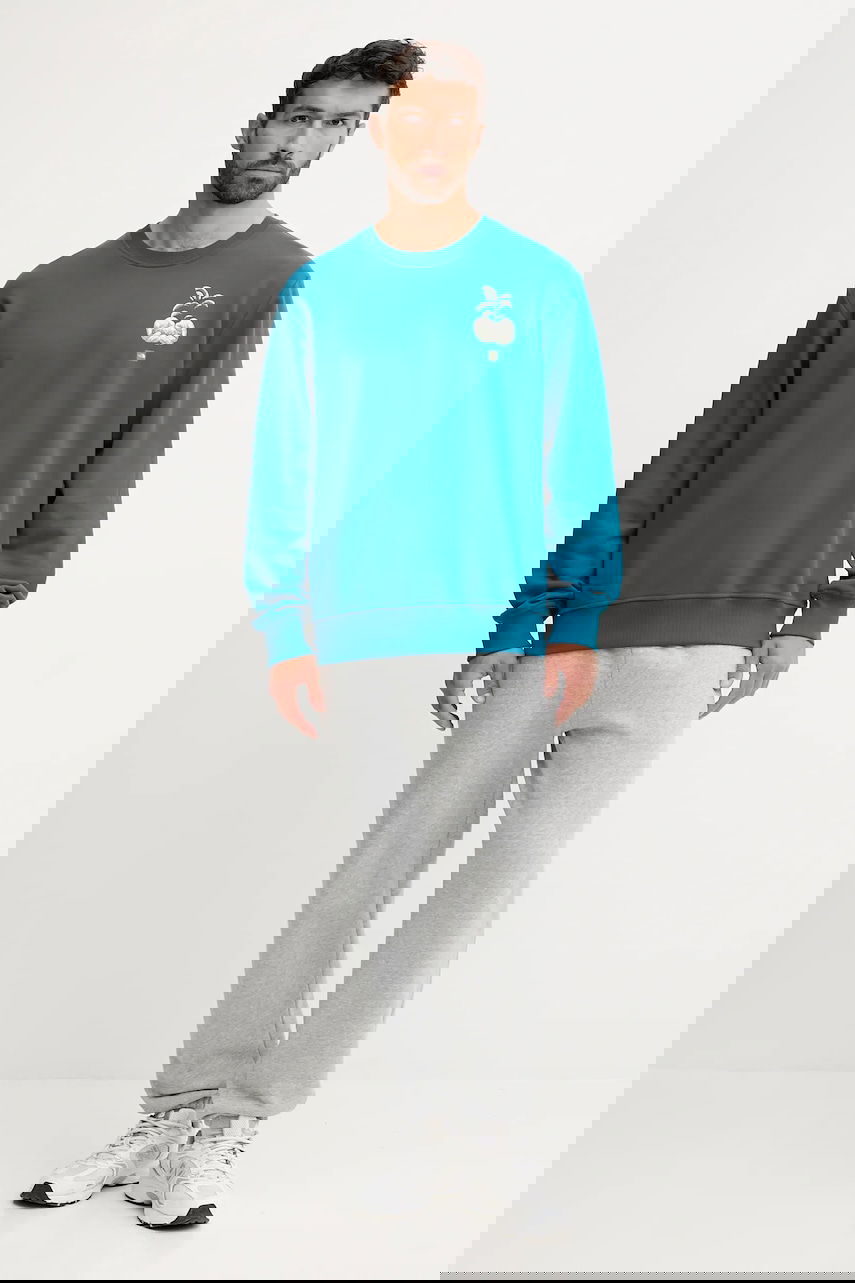 Суитчър The North Face Connect Relaxed Fit Crewneck Sweatshirt with Grow Your Own Way Graphic Print Тюркоазено | NF0A8E3ZBSI1, 1