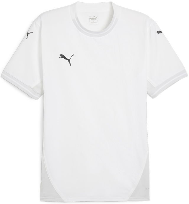 teamFINAL Jersey