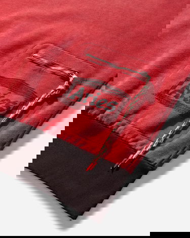 Суитчър Aries Sunbleached Premium Temple Sports Hoodie Многоцветен | AR2002604 Red, 3