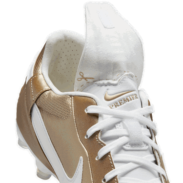 Кецове и обувки Nike Premier III FG Металик | at5889-200, 6