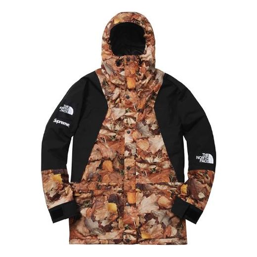 Парка Supreme Supreme x The North Face FW16 Interchange Jacket Многоцветен | SUP-FW16-605