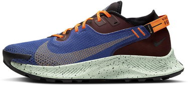 Кецове и обувки Nike Pegasus Trail 2 GTX Синьо | cu2016-600, 0