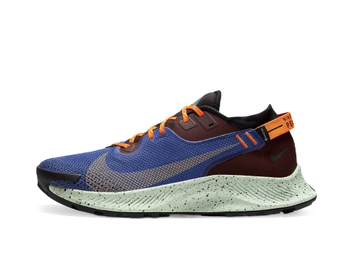 Бягане Nike Pegasus Trail 2 GTX Синьо | cu2016-600