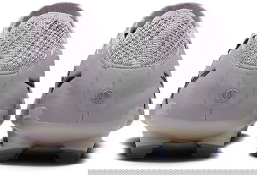 Кецове и обувки Nike LEGEND 10 ELITE FG AS Сиво | fq3250-001, 5