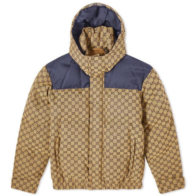 Panel Down Jacket