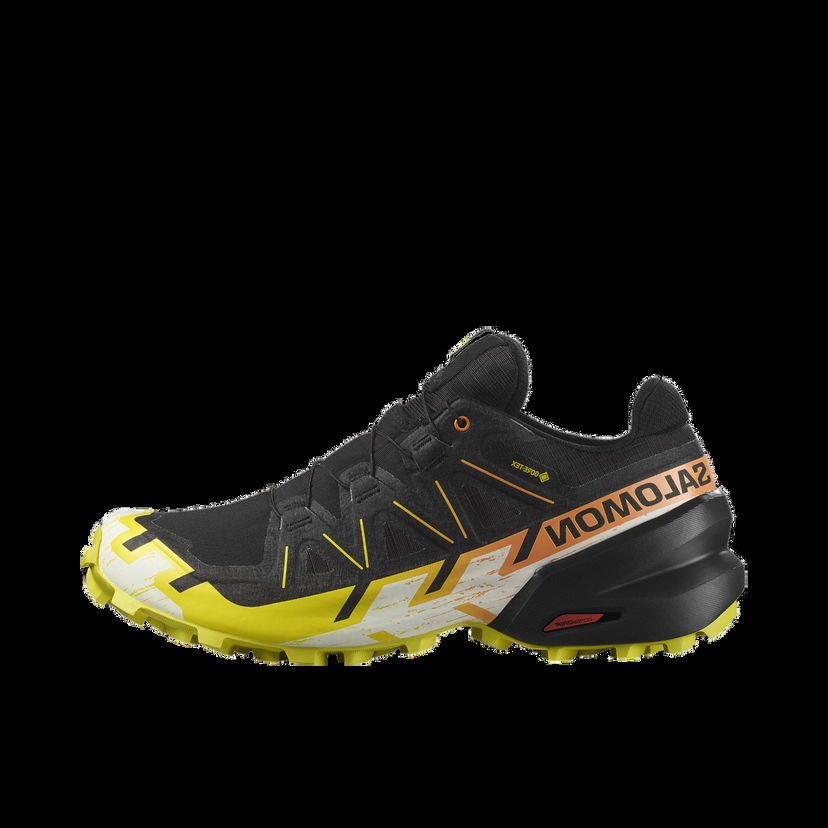 Кецове и обувки Salomon SPEEDCROSS 6 GTX Черно | l47465400