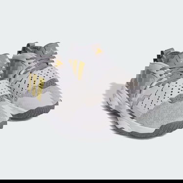 Кецове и обувки adidas Performance 8 Extply Shoes Сиво | IG8086, 1