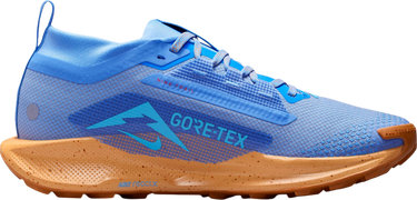 Кецове и обувки Nike Pegasus Trail 5 GORE-TEX Синьо | fq0912-401, 2