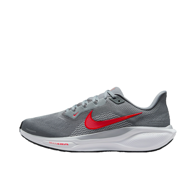 Pegasus 41