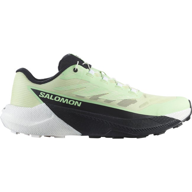 Кецове и обувки Salomon Pulsar Зелено | L47973600
