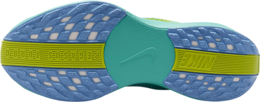 Кецове и обувки Nike Pegasus Plus Многоцветен | fq7261-401, 4