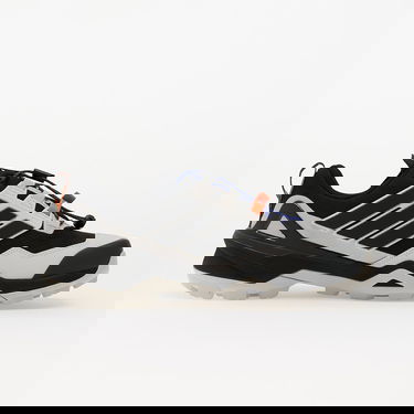 Кецове и обувки adidas Performance Terrex Skychaser GORE-TEX Hiking Shoes Сиво | IH2799, 2
