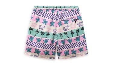 Къси панталони Vans Stranger Things x California Stripe Vollyshort Многоцветен | VN0007RUPNK, 2