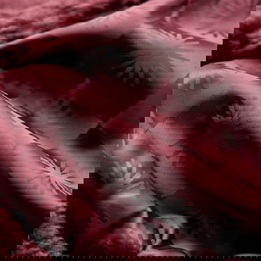 Яке UGG Frankie Cropped Sherpa Trucker Jacket Бургунди | 1171459-WGRP, 3