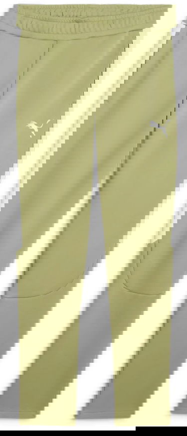 Спортни панталони Puma teamEVOSTRIPE Track Pants Зелено | 659948-40, 0