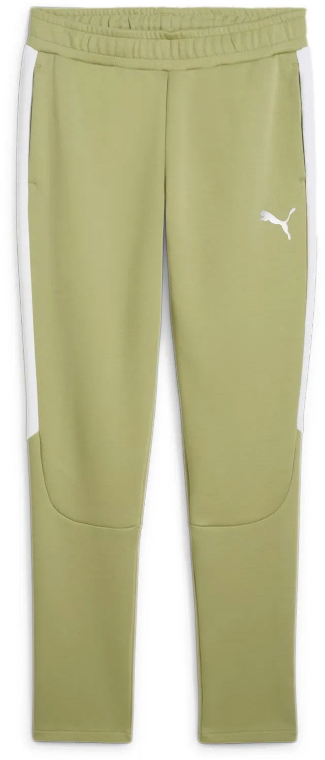 Спортни панталони Puma teamEVOSTRIPE Track Pants Зелено | 659948-40