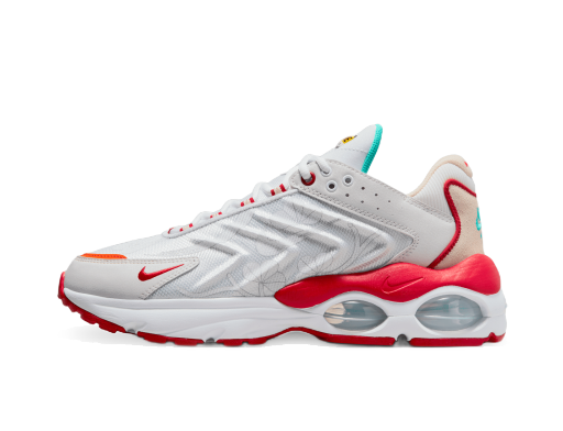 Кецове и обувки Nike Air Max TW Сиво | FD4318-161