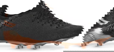 Кецове и обувки Puma Puma KING ULTIMATE FG/AG Черно | 107554-01, 2