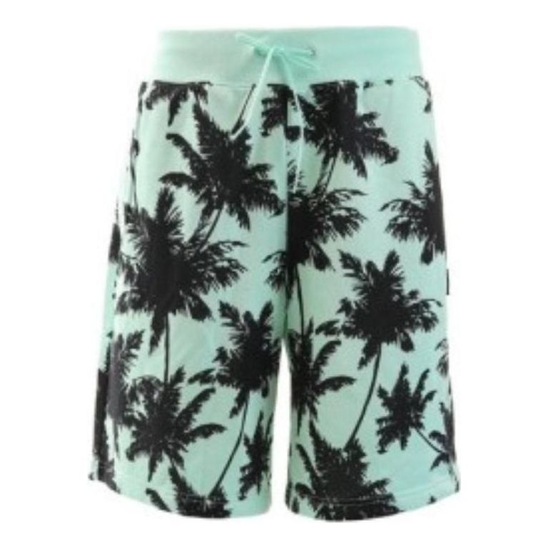 Къси панталони Puma Palm Tree Shorts Зелено | 578258-34