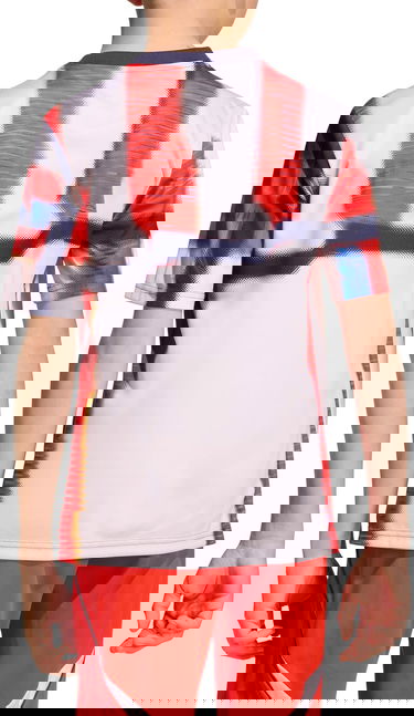 Фланелка adidas Originals FC Bayern Pre-Match 2025/26 Graphic T-Shirt Многоцветен | jz6261, 2